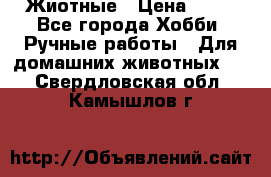 Жиотные › Цена ­ 50 - Все города Хобби. Ручные работы » Для домашних животных   . Свердловская обл.,Камышлов г.